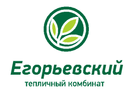 22 августа - День открытых дверей Егорьевского тепличного комбината