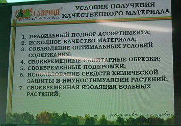 День открытых дверей в Алексинском питомнике «ГАВРИШ» 28 июня 2018 г.